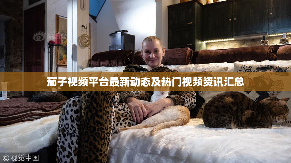 茄子视频平台最新动态及热门视频资讯汇总