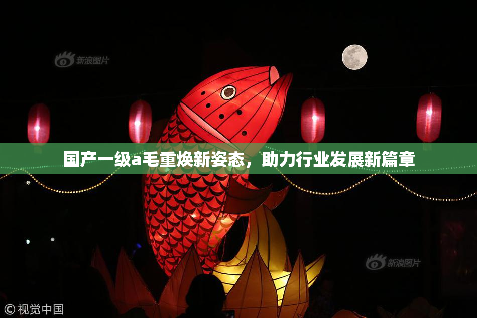 国产一级a毛重焕新姿态，助力行业发展新篇章
