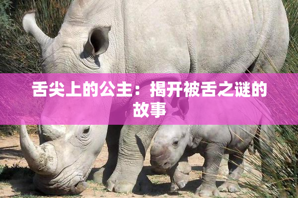 舌尖上的公主：揭开被舌之谜的故事
