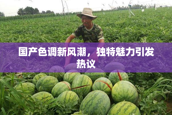 国产色调新风潮，独特魅力引发热议