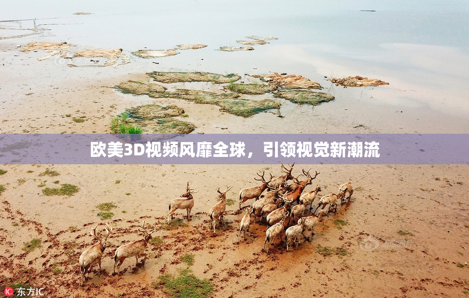 欧美3D视频风靡全球，引领视觉新潮流