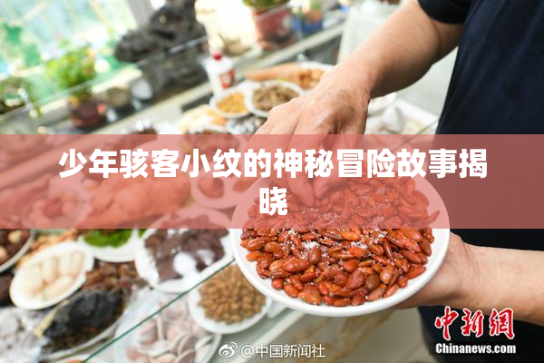 少年骇客小纹的神秘冒险故事揭晓