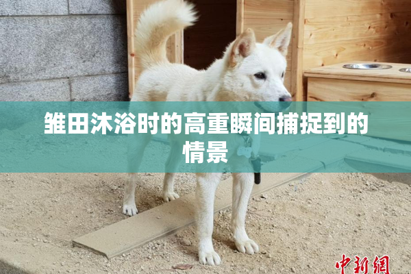 雏田沐浴时的高重瞬间捕捉到的情景