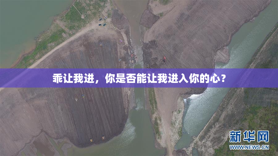 乖让我进，你是否能让我进入你的心？