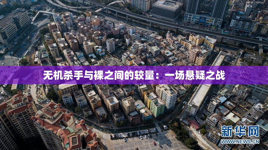 无机杀手与裸之间的较量：一场悬疑之战