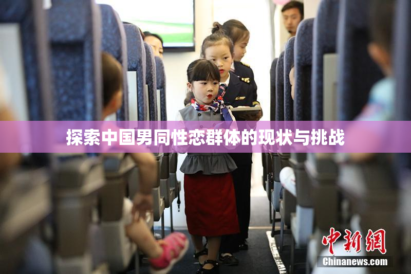 探索中国男同性恋群体的现状与挑战