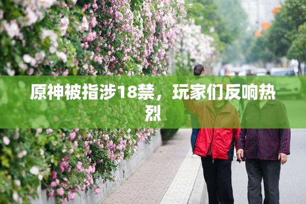 原神被指涉18禁，玩家们反响热烈