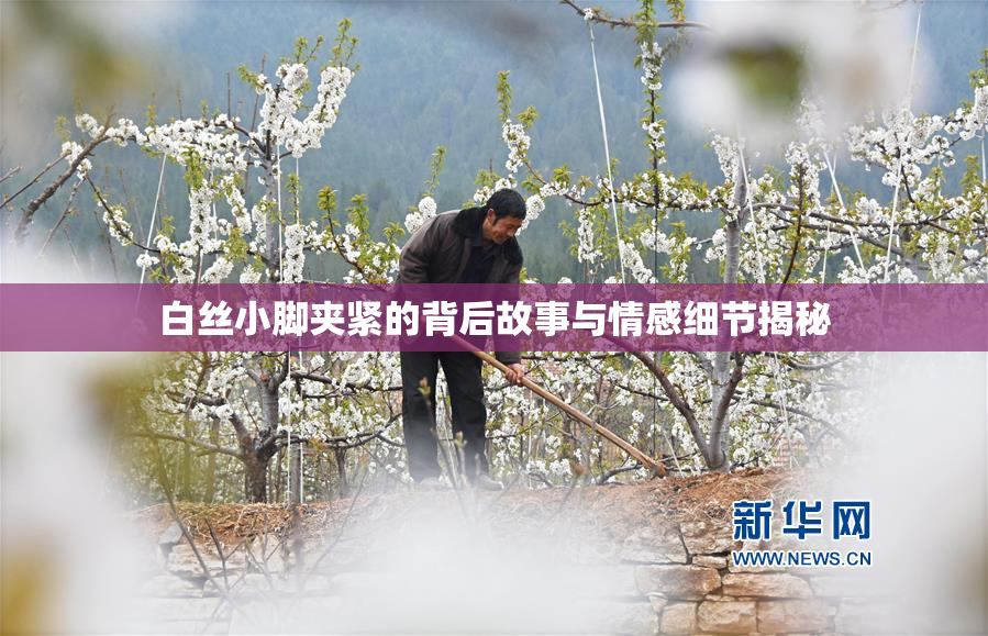 白丝小脚夹紧的背后故事与情感细节揭秘