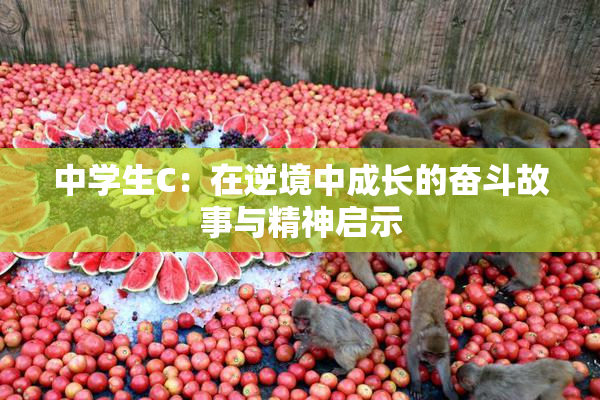 中学生C：在逆境中成长的奋斗故事与精神启示