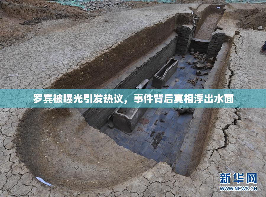 罗宾被曝光引发热议，事件背后真相浮出水面