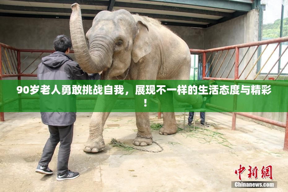 90岁老人勇敢挑战自我，展现不一样的生活态度与精彩！