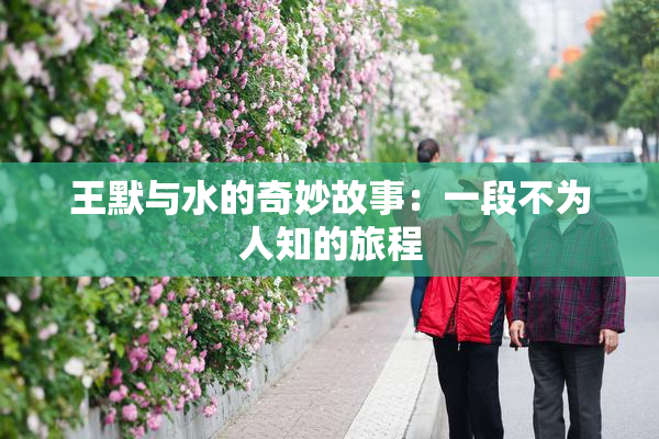王默与水的奇妙故事：一段不为人知的旅程