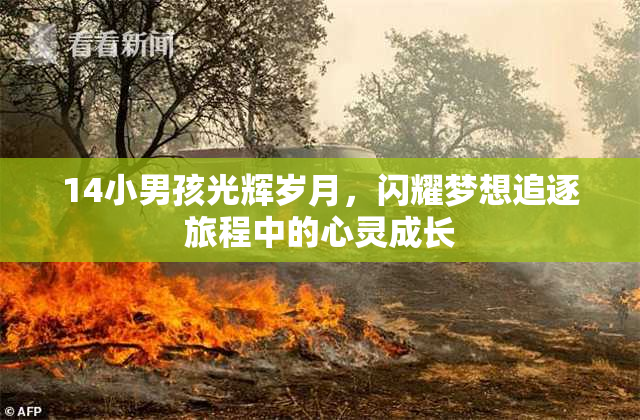 14小男孩光辉岁月，闪耀梦想追逐旅程中的心灵成长