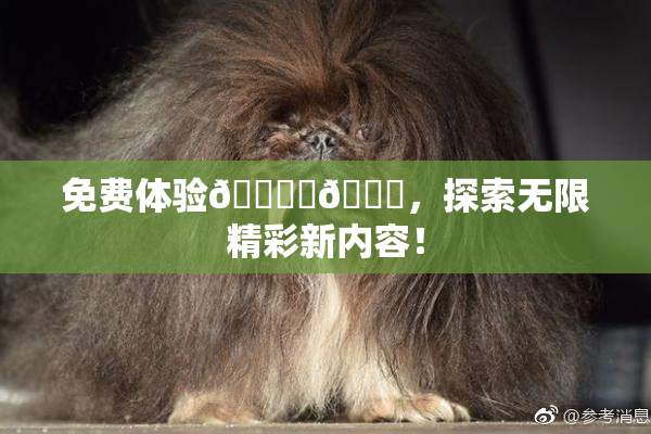 免费体验🔞‌🍌，探索无限精彩新内容！