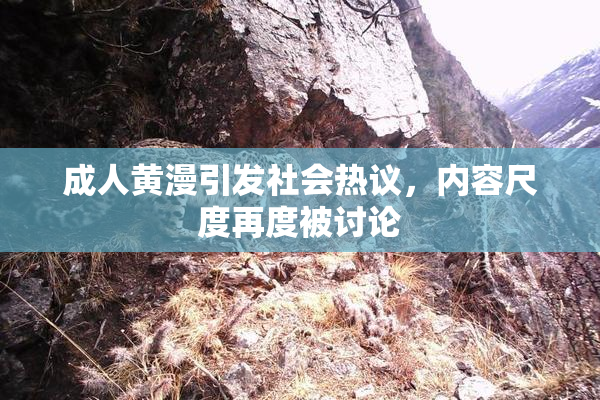 成人黄漫引发社会热议，内容尺度再度被讨论