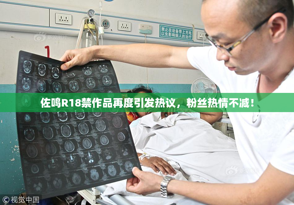 佐鸣R18禁作品再度引发热议，粉丝热情不减！