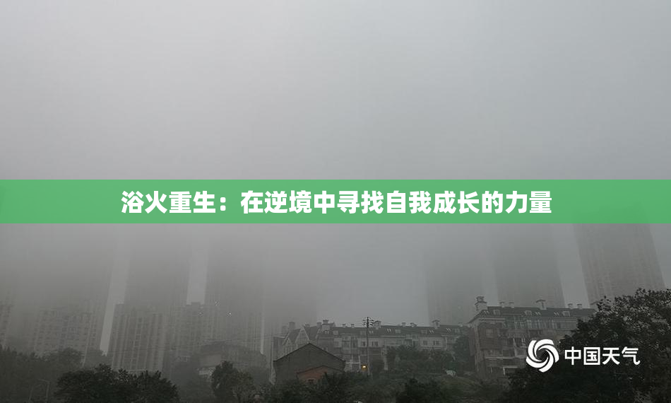 浴火重生：在逆境中寻找自我成长的力量