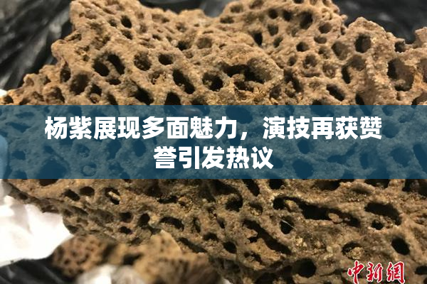 杨紫展现多面魅力，演技再获赞誉引发热议