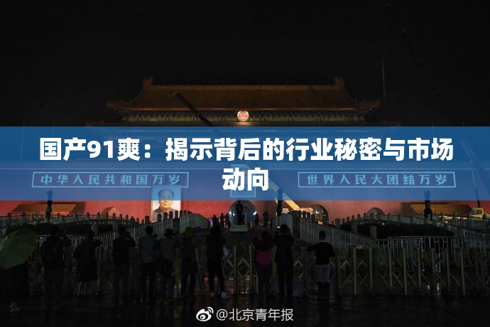 国产91爽：揭示背后的行业秘密与市场动向