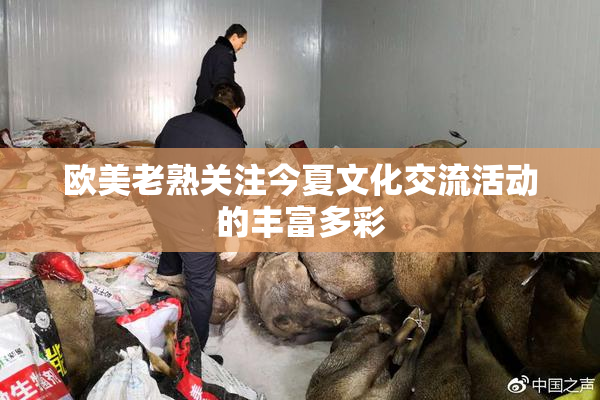 欧美老熟关注今夏文化交流活动的丰富多彩