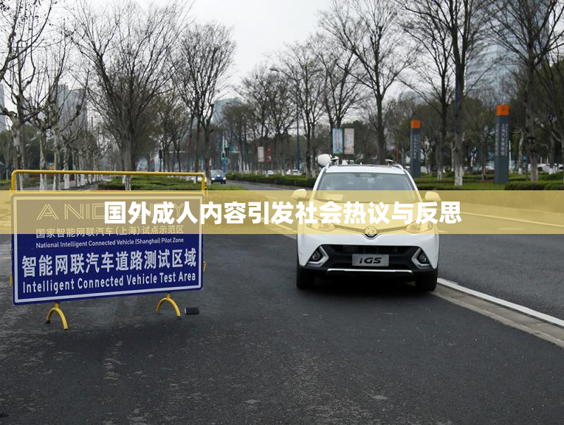国外成人内容引发社会热议与反思