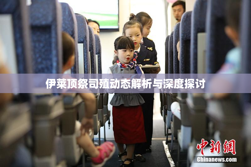 伊莱顶祭司殖动态解析与深度探讨
