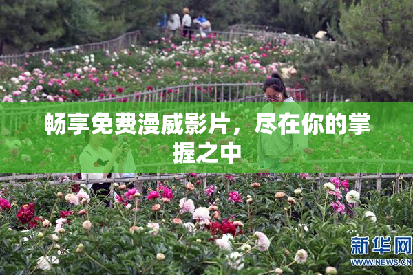 畅享免费漫威影片，尽在你的掌握之中