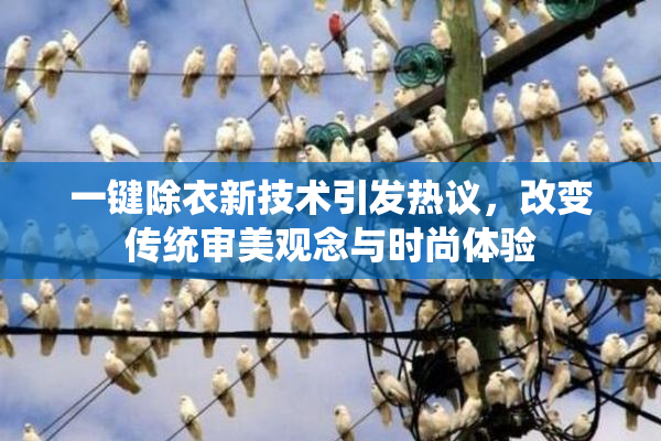 一键除衣新技术引发热议，改变传统审美观念与时尚体验