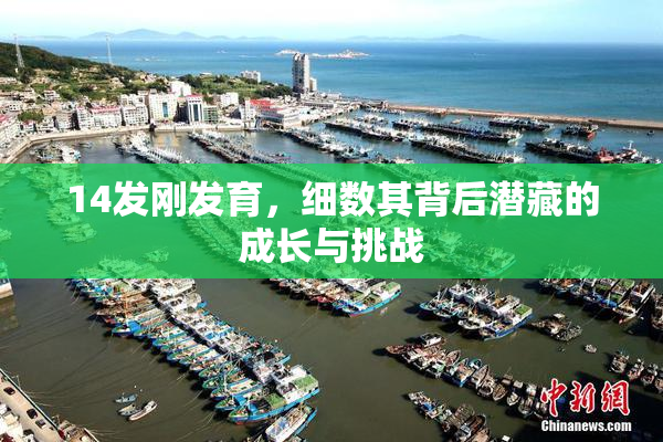 14发刚发育，细数其背后潜藏的成长与挑战