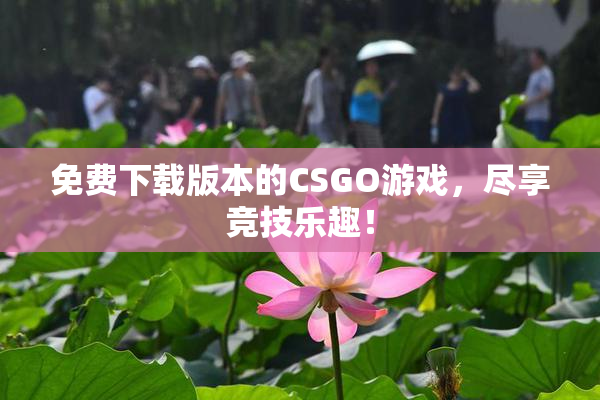 免费下载版本的CSGO游戏，尽享竞技乐趣！