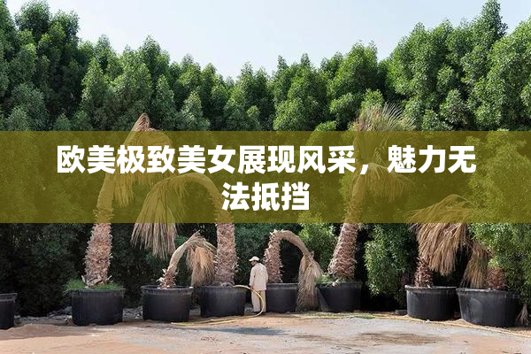 欧美极致美女展现风采，魅力无法抵挡