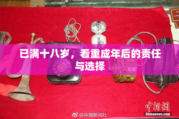 已满十八岁，看重成年后的责任与选择