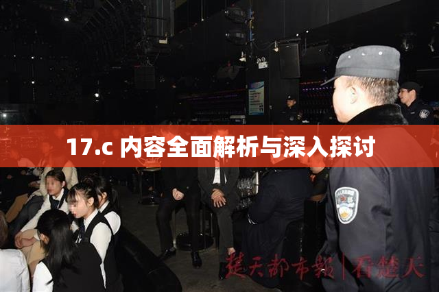 17.c 内容全面解析与深入探讨