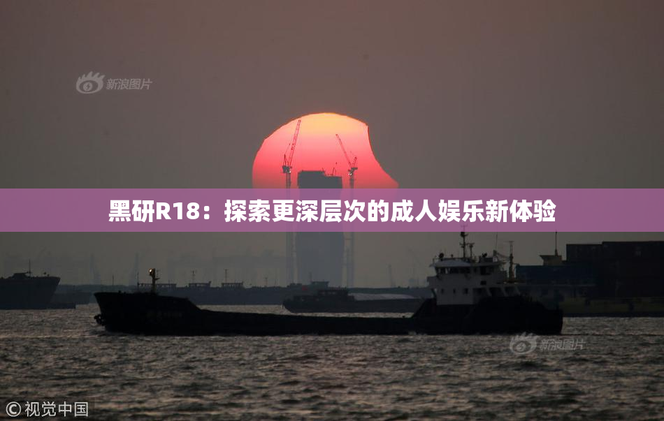 黑研R18：探索更深层次的成人娱乐新体验