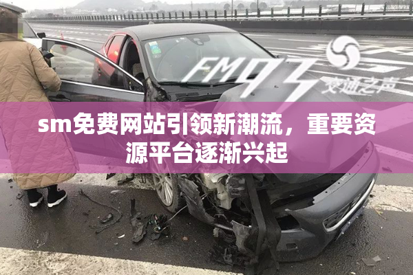 sm免费网站引领新潮流，重要资源平台逐渐兴起