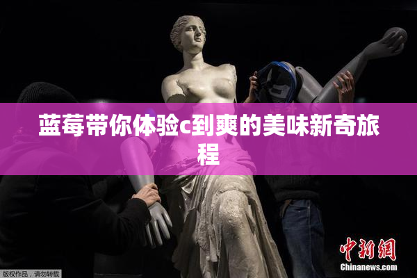 蓝莓带你体验c到爽的美味新奇旅程
