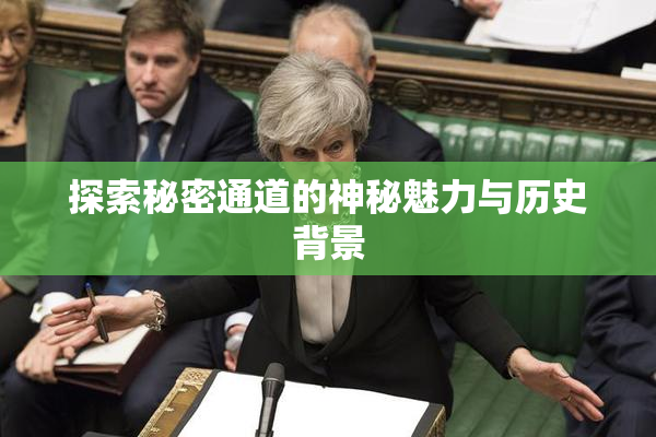探索秘密通道的神秘魅力与历史背景