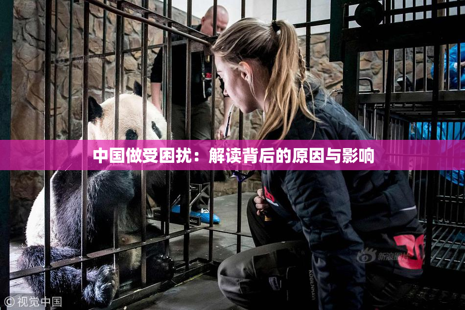 中国做受困扰：解读背后的原因与影响