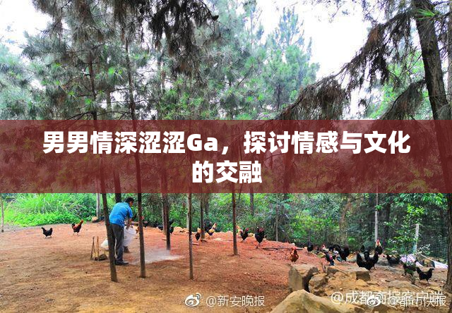 男男情深涩涩Ga，探讨情感与文化的交融