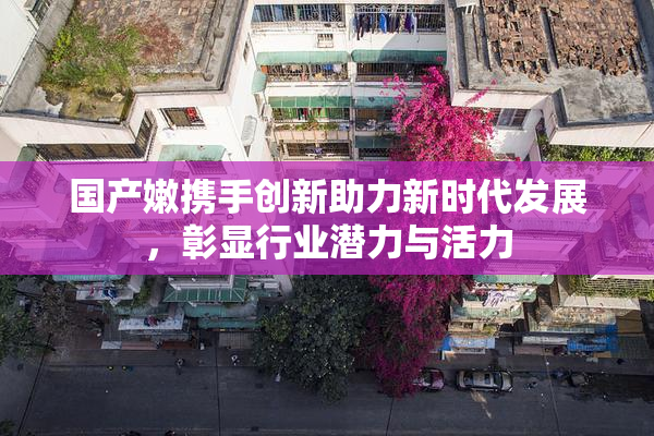 国产嫩携手创新助力新时代发展，彰显行业潜力与活力