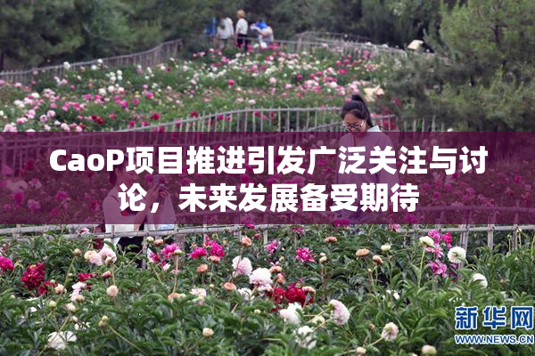 CaoP项目推进引发广泛关注与讨论，未来发展备受期待