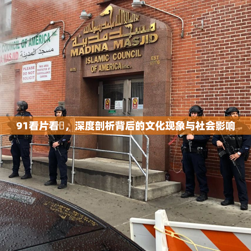 91看片看婬，深度剖析背后的文化现象与社会影响