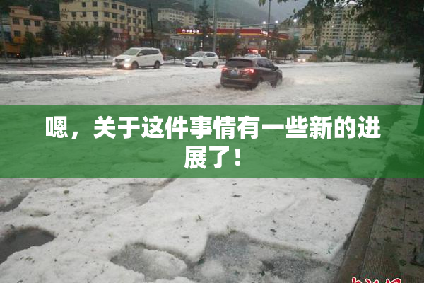 嗯，关于这件事情有一些新的进展了！