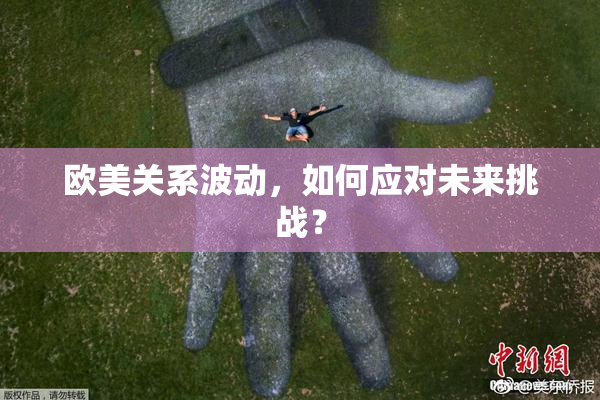欧美关系波动，如何应对未来挑战？