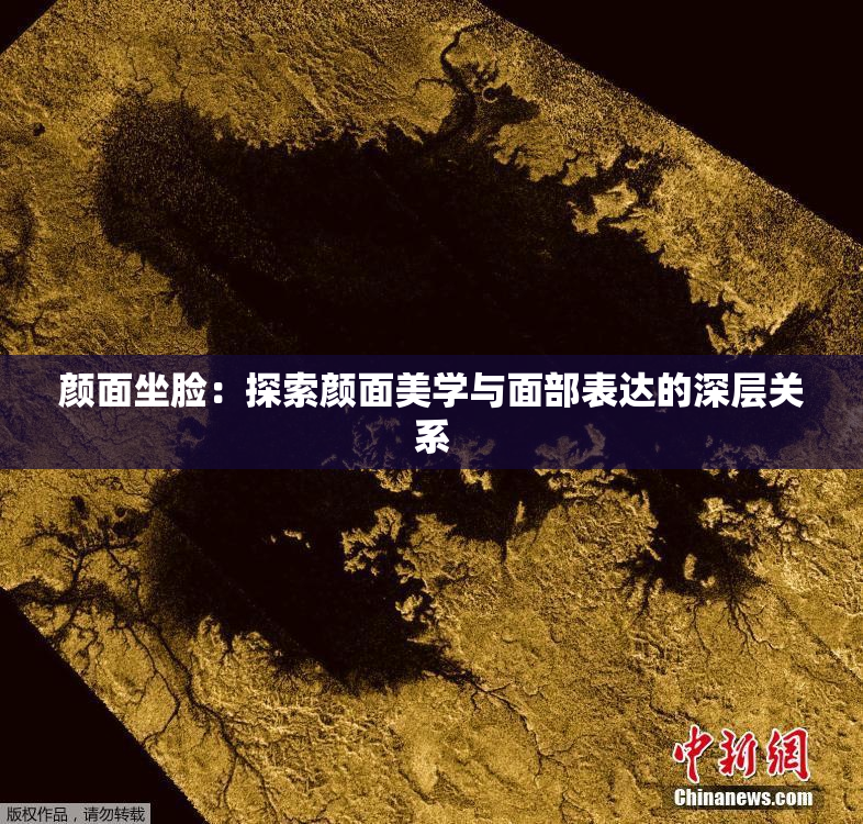 颜面坐脸：探索颜面美学与面部表达的深层关系