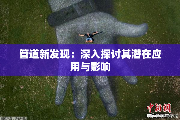 管道新发现：深入探讨其潜在应用与影响
