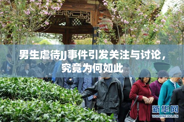 男生虐待JJ事件引发关注与讨论，究竟为何如此