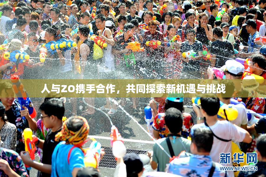 人与ZO携手合作，共同探索新机遇与挑战