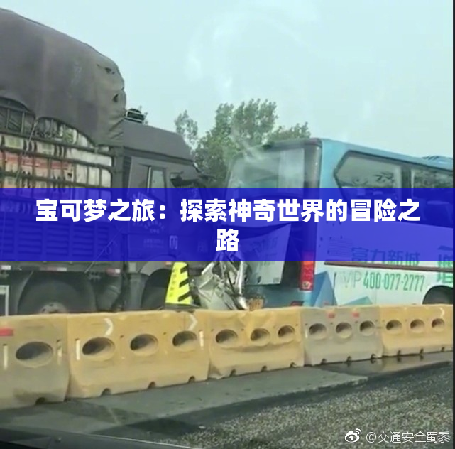 宝可梦之旅：探索神奇世界的冒险之路