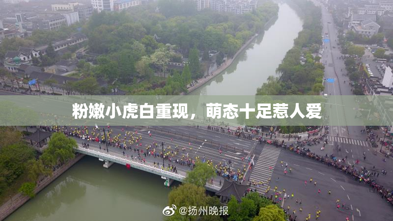 粉嫩小虎白重现，萌态十足惹人爱